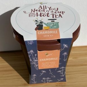 Buzzy “All You Need is a Cup of Hot Tea” Chamomile Grow Kit